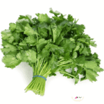 Fresh Coriander (फ्रेस धनियाँ)-1stk 2 Fresh green coriander (फ्रेस धनियाँ) bunch on wooden surface