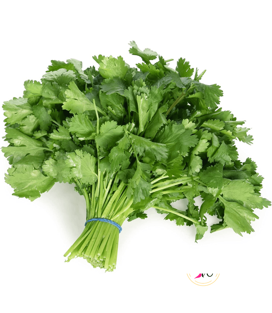 Fresh Coriander (फ्रेस धनियाँ)-1stk 1 Fresh green coriander (फ्रेस धनियाँ) bunch on wooden surface