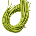 Fresh Long Beans (बोडी) yardlong beans bundle