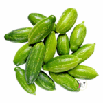 Fresh Tindly (प्रवाल) ivy gourd vegetable on wooden board