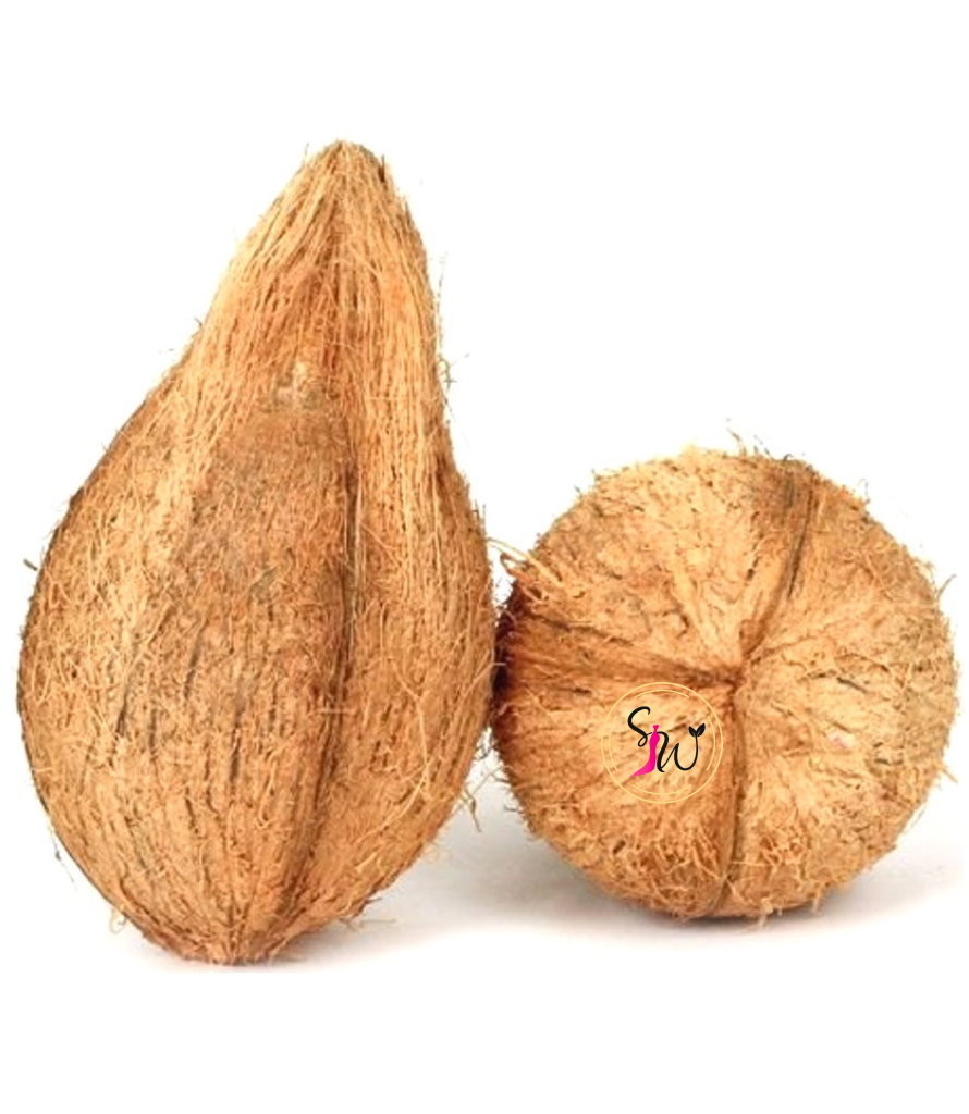Coconut (जटा नरिवल) -1stk 1 Fresh whole coconut (जटा नरिवल) with husk and cracked pieces