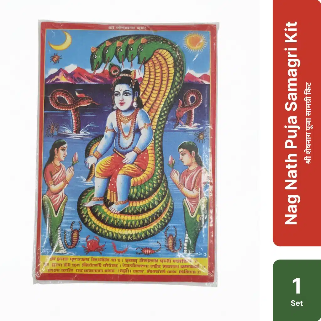 Nag Nath Puja Samagri Kit (श्री शेषनाग पूजा सामग्री किट) 1 Nag Nath Puja Samagri Kit with essential Naag Panchami ritual items