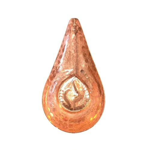 Argauto (अर्गौटो) sacred item used in Rudri Puja ritual 🙏