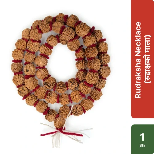 Rudraksha Necklace Rudraksh Ko Mala रुद्राक्षको माला spiritual prayer beads for puja and meditation