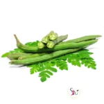 Fresh drumstick moringa pods vegetable