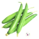 Fresh Ghiraula sponge gourd vegetable