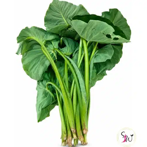 Fresh Karkalo (taro leaves with stems) isolated on white background