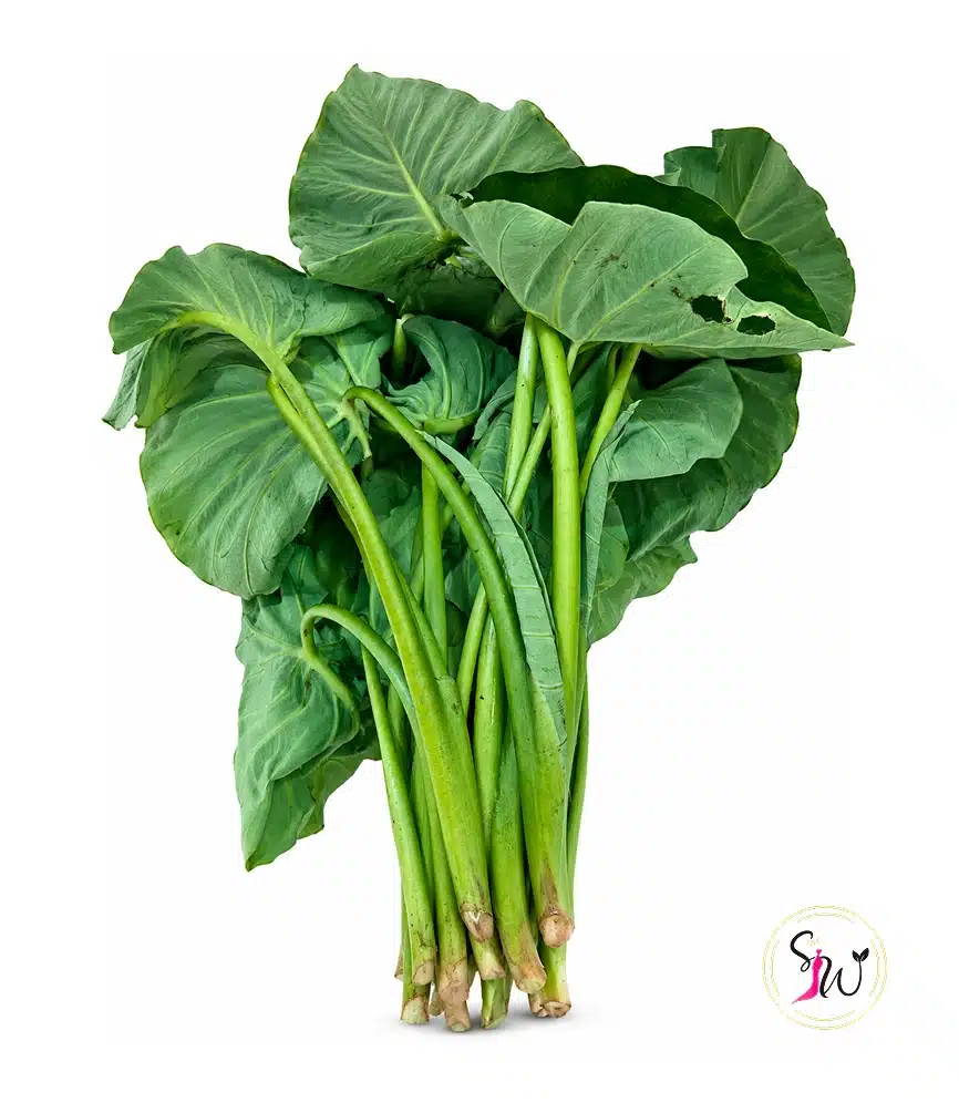 Fresh Taro Leaves (Karkalo) - 500g 1 Fresh Karkalo (taro leaves with stems) isolated on white background